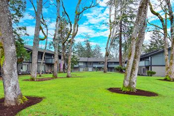 a yard with trees and a building in the background